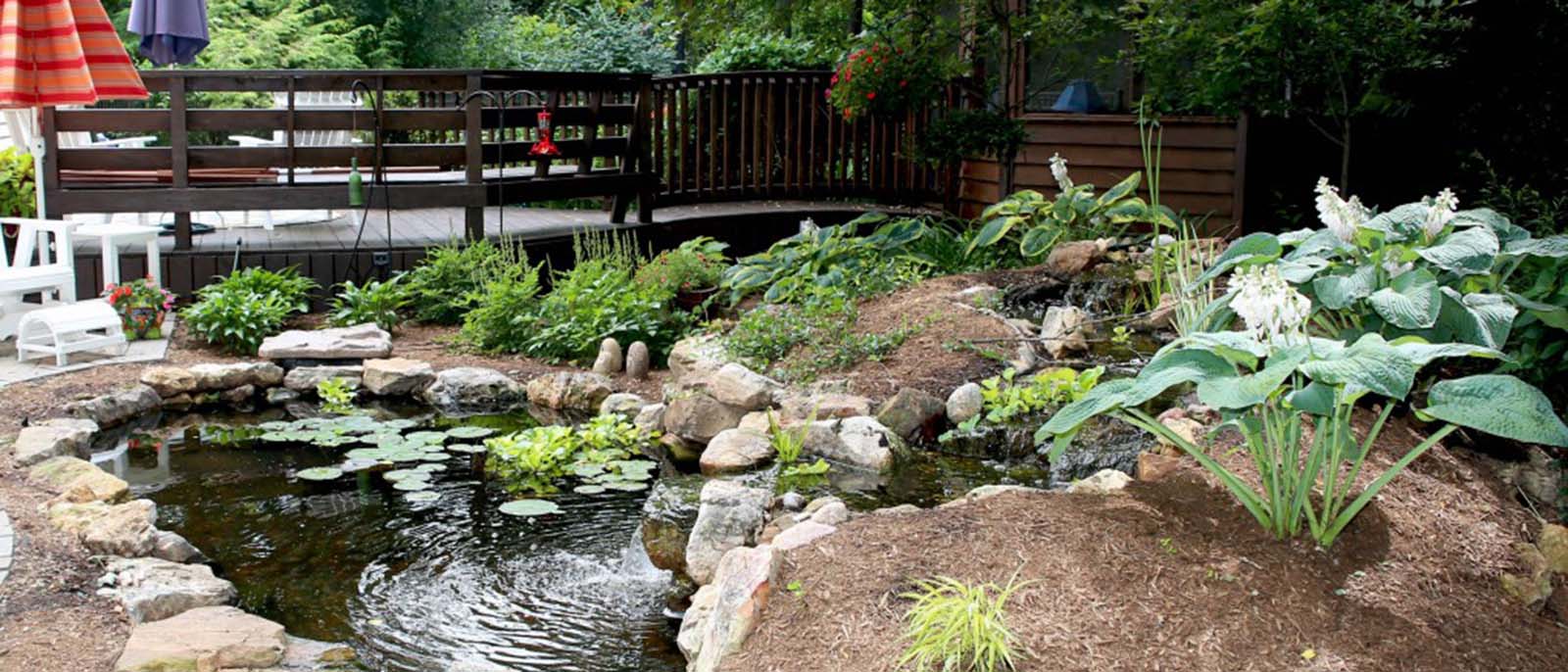 Pond Cleaning Services Near Me