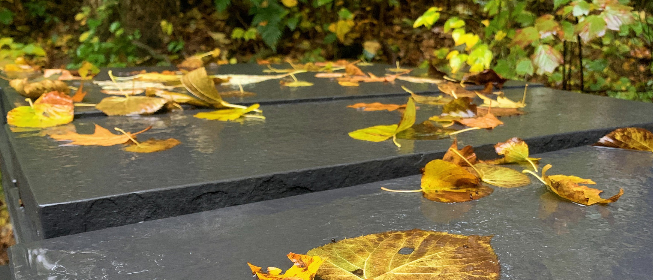 West Michigan Fall Leaf Cleanup Company