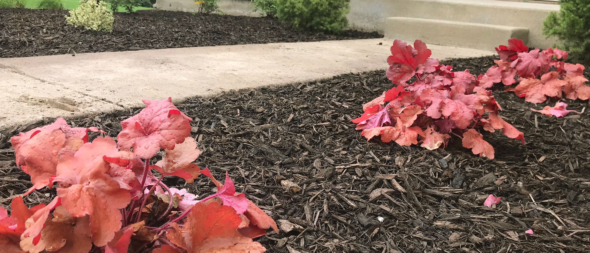 West Michigan Spring Cleanup Landscapers