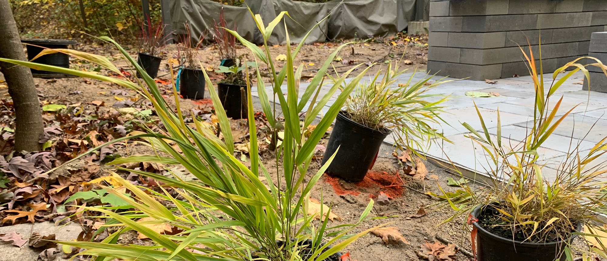 Landscaping Contractor West Michigan